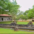 IMG-20241113-WA0054